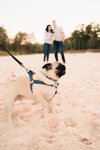 mobile - carousel-hero-element image-14