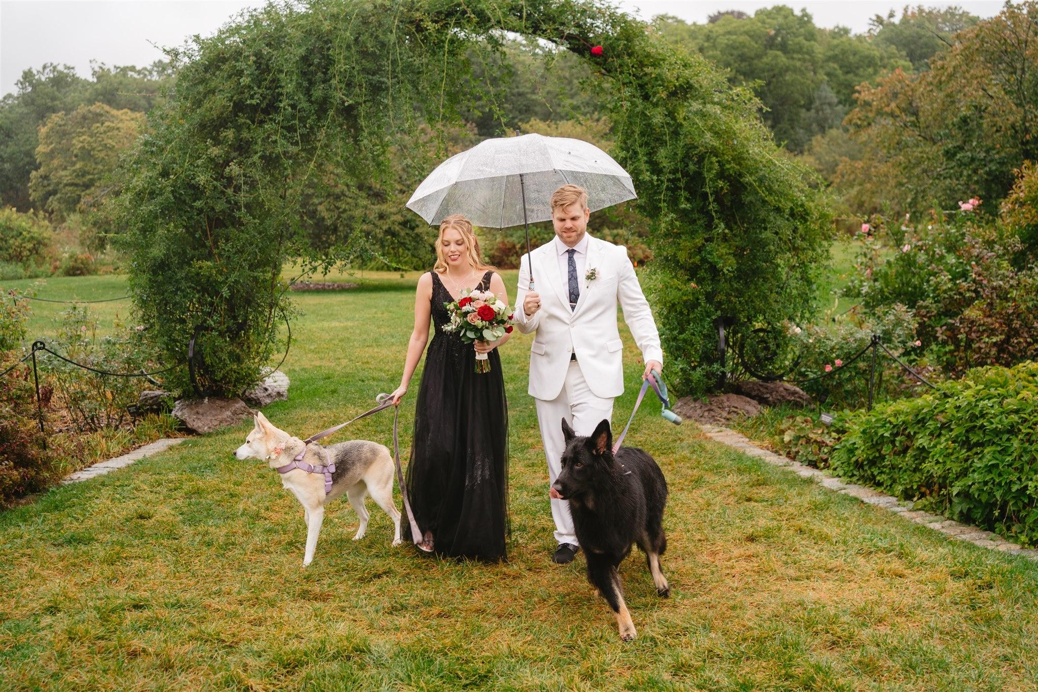 How to Incorporate Your Pets into Your Wedding Day Photos